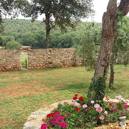 סן ג'ימיניאנו La Tenuta Di Castelvecchio מראה חיצוני תמונה