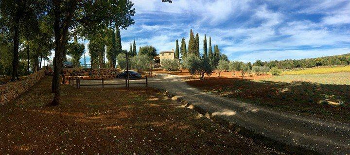 סן ג'ימיניאנו La Tenuta Di Castelvecchio מראה חיצוני תמונה